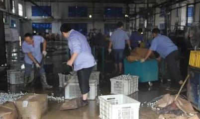 洪水無(wú)情襲皖西，世林照明損千萬(wàn)——安徽世林照明洪災(zāi)損失紀(jì)實(shí)與行業(yè)警示